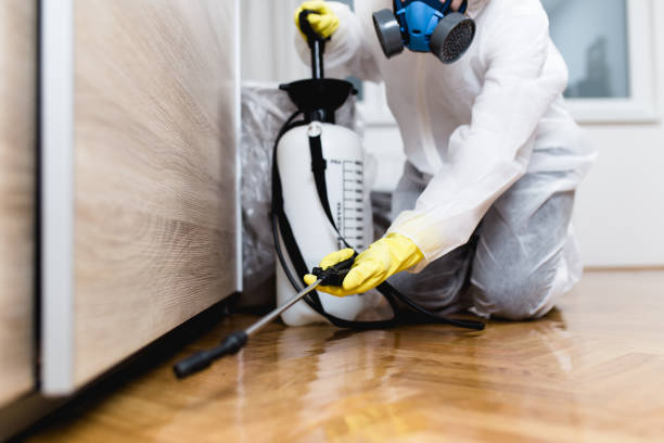 Best Pest Removal Services  in Jackson, MO